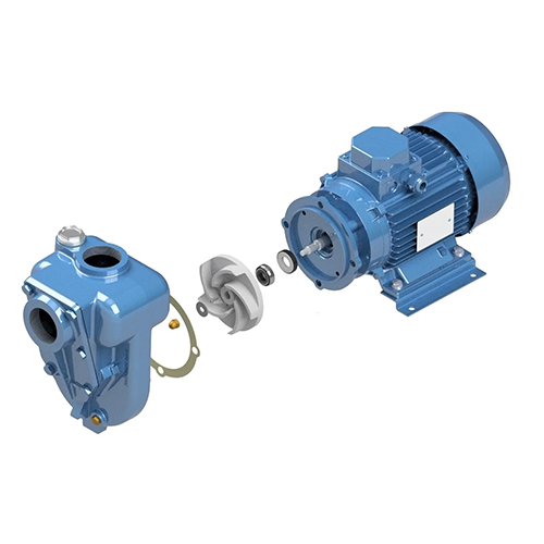 �����GMP Pumps���~�_ʽ�~݆����ʽ늄�(d��ng)�x�ı�B11/2KQ-A