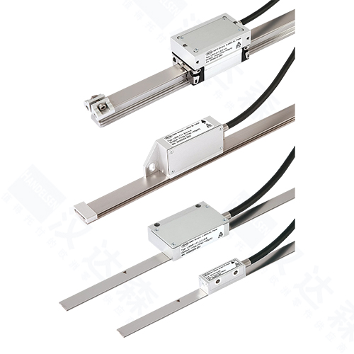 ��AMOֱ���y�����a��LMϵ��